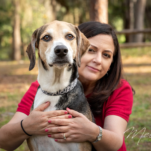 Fundraising Page: Anne Rollins